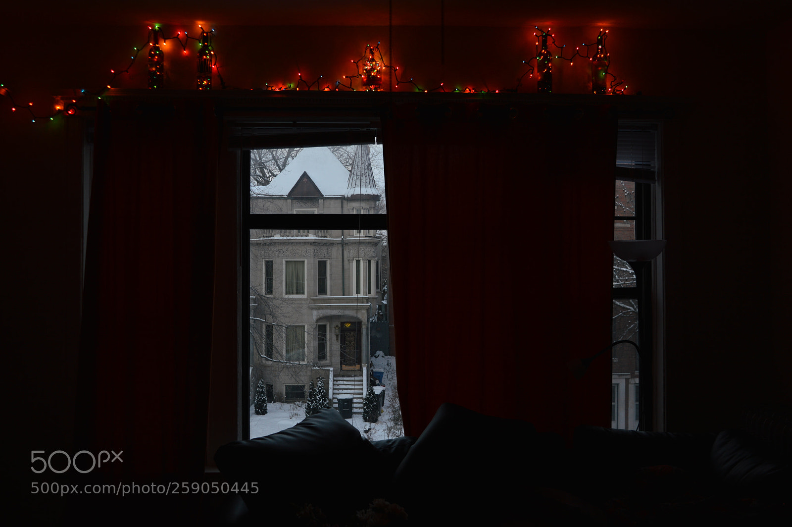 Nikon D3200 sample photo. Looking out photography