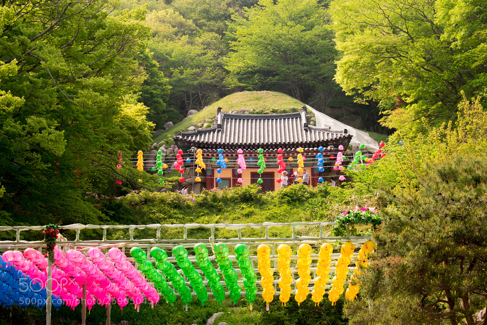 Nikon D3400 sample photo. Seokguram grotto, gyeongju-si, south photography