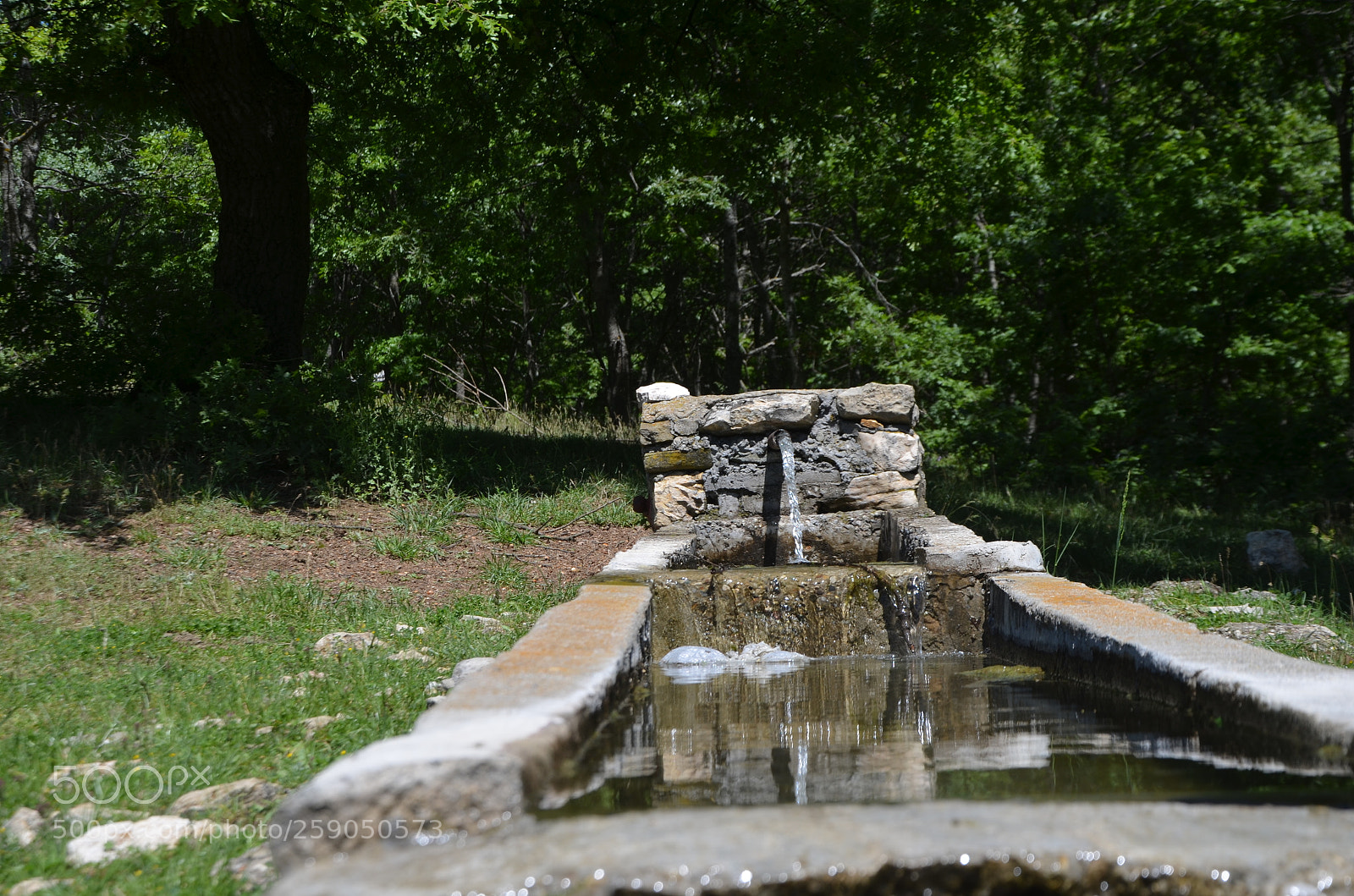 Nikon D5100 sample photo. Untitled photography