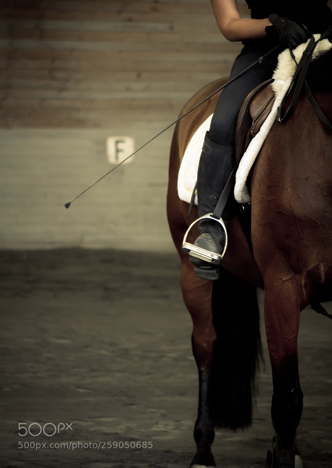 Canon EOS 7D sample photo. Dressage riding photography