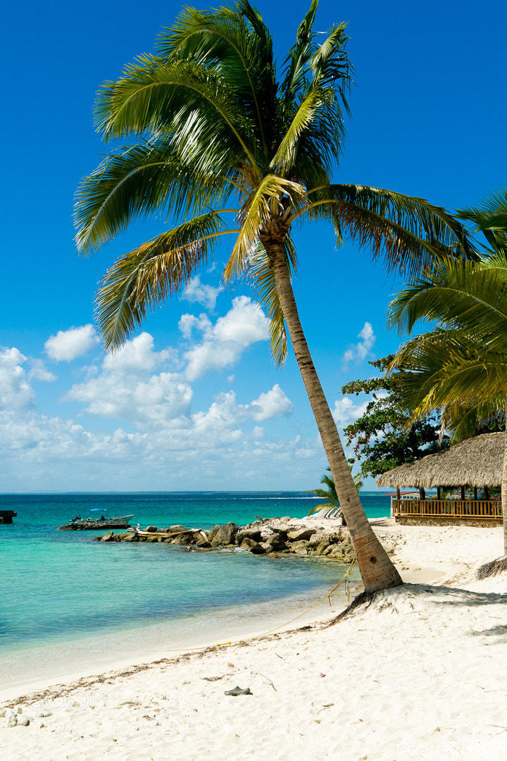 Sony a7 II sample photo. Saona island photography
