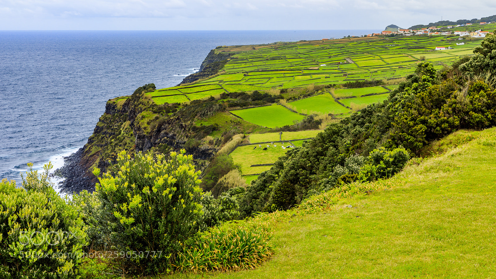Canon EOS 5D Mark IV sample photo. A ores-terceira-coastal view from photography