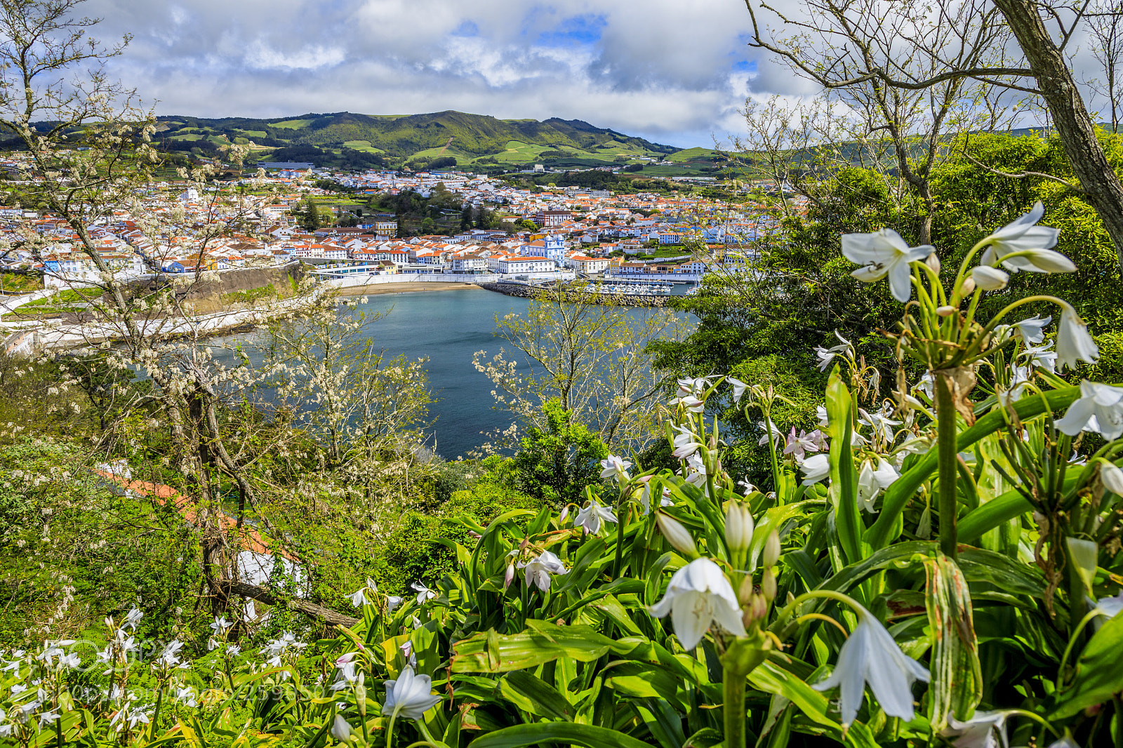 Canon EOS 5D Mark IV sample photo. A ores-terceira-angra do hero photography