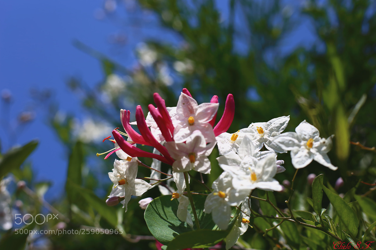 Canon EOS 6D sample photo. Untitled photography