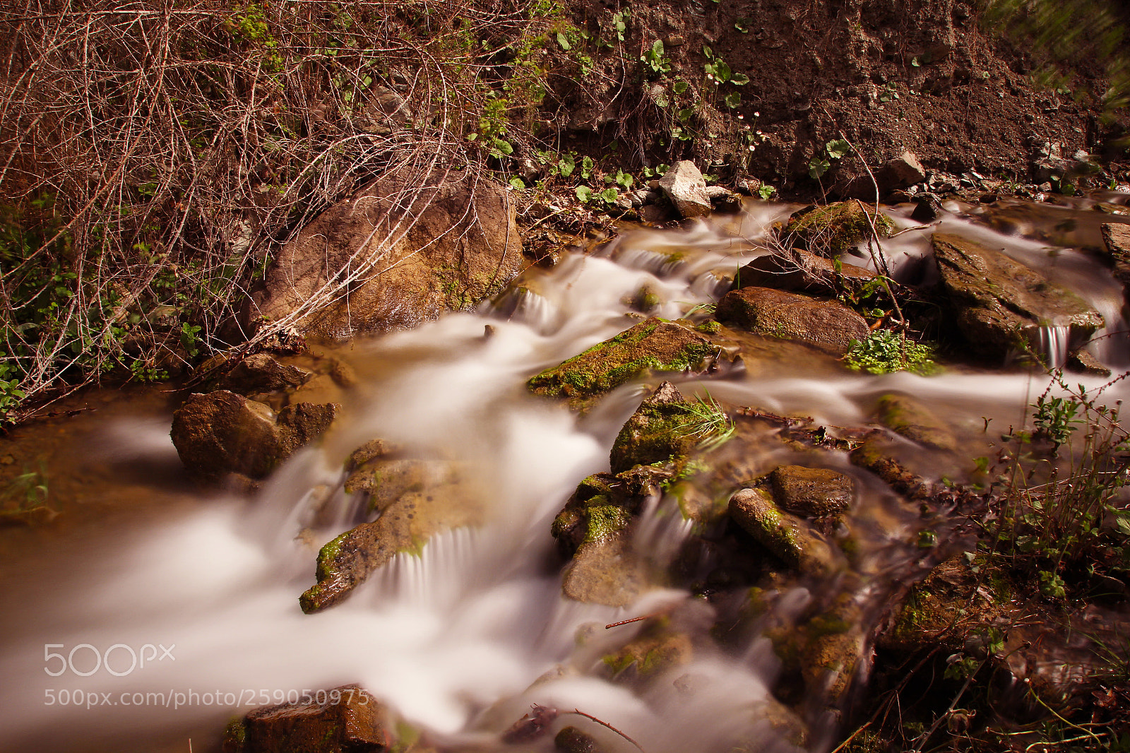 Canon EOS 60D sample photo. +++ photography