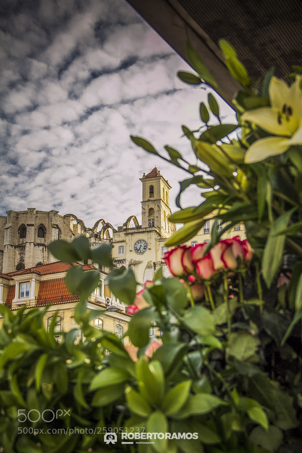 Canon EOS 60D sample photo. Convent of roses photography