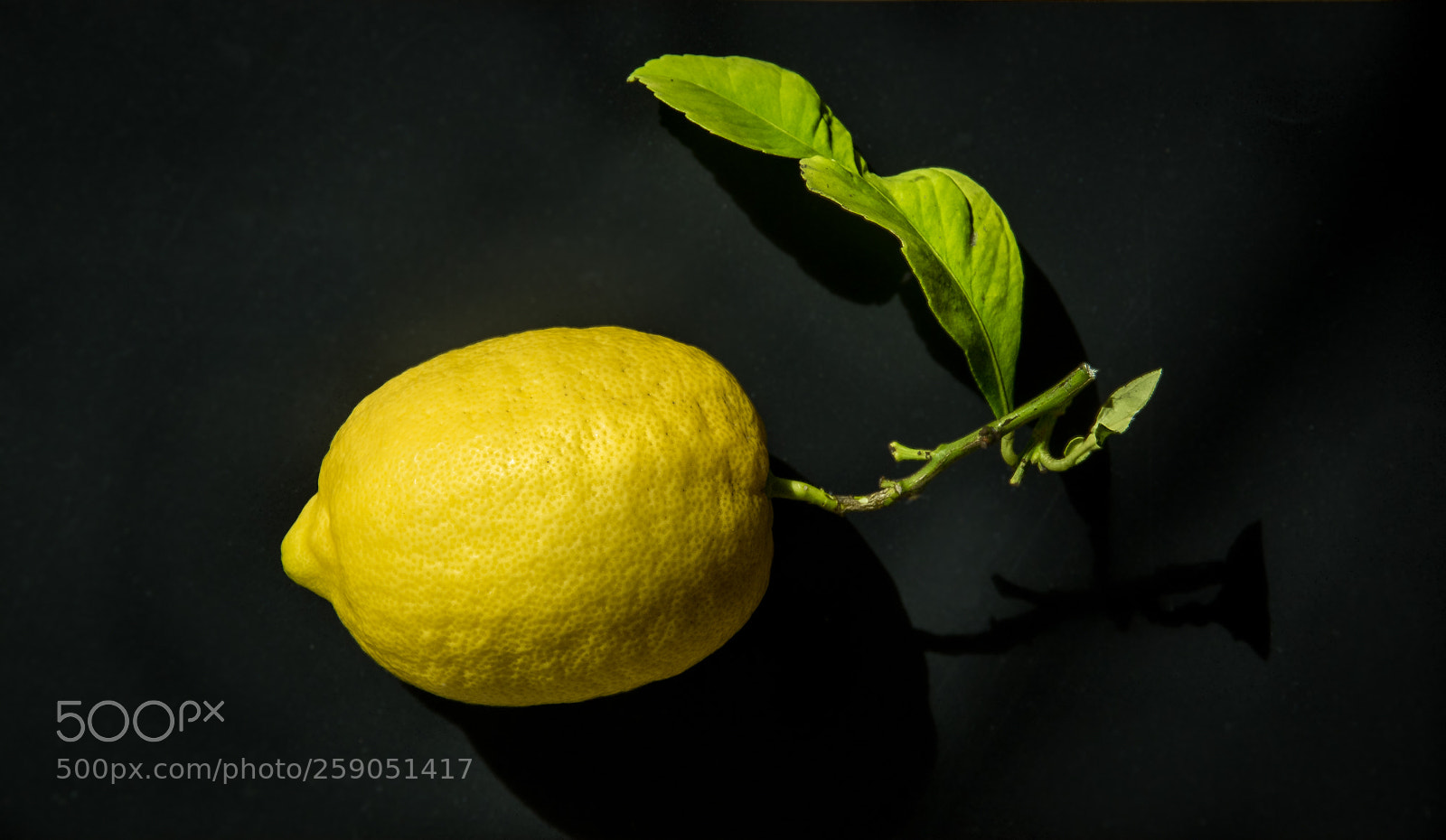 Pentax K-3 sample photo. Lemon #15 photography