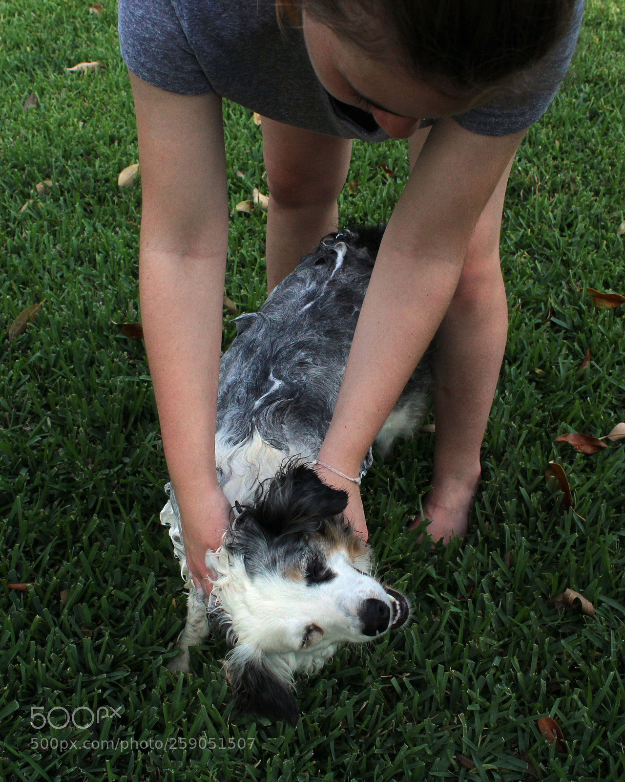 Canon EOS 1200D (EOS Rebel T5 / EOS Kiss X70 / EOS Hi) sample photo. Wash your pet photography