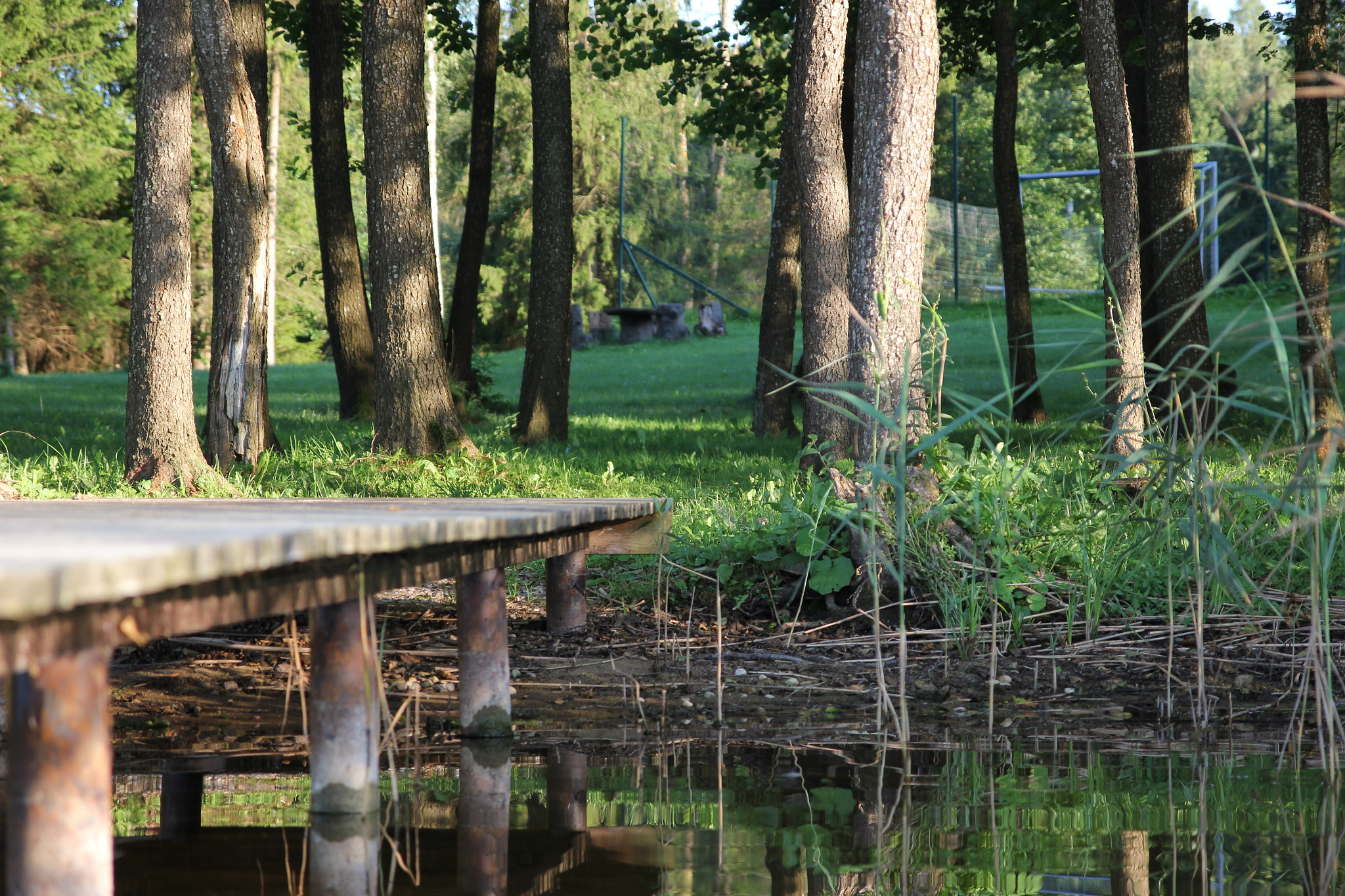 Canon EOS 550D (EOS Rebel T2i / EOS Kiss X4) sample photo. Beauty of natural lake photography
