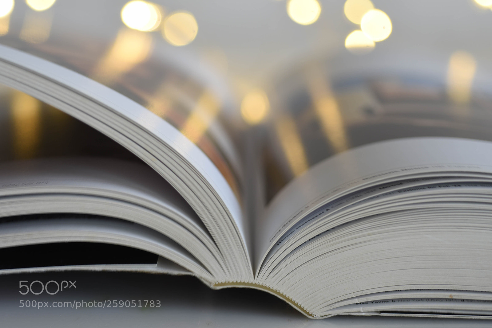 Nikon D750 sample photo. Ideas photography