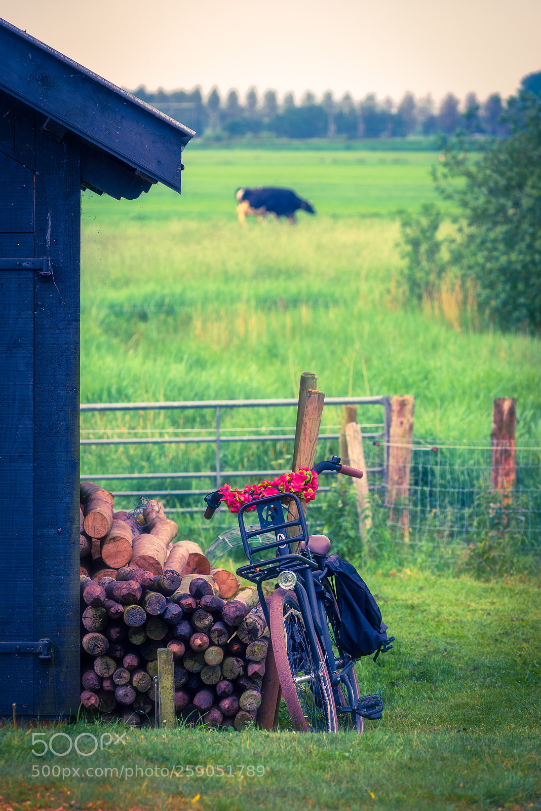 Nikon D610 sample photo. Dutch rural scene photography