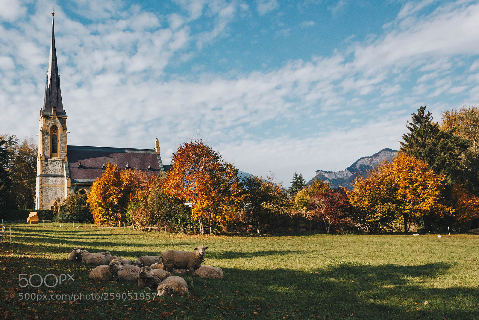 Canon EOS 550D (EOS Rebel T2i / EOS Kiss X4) sample photo. Switzerland photography