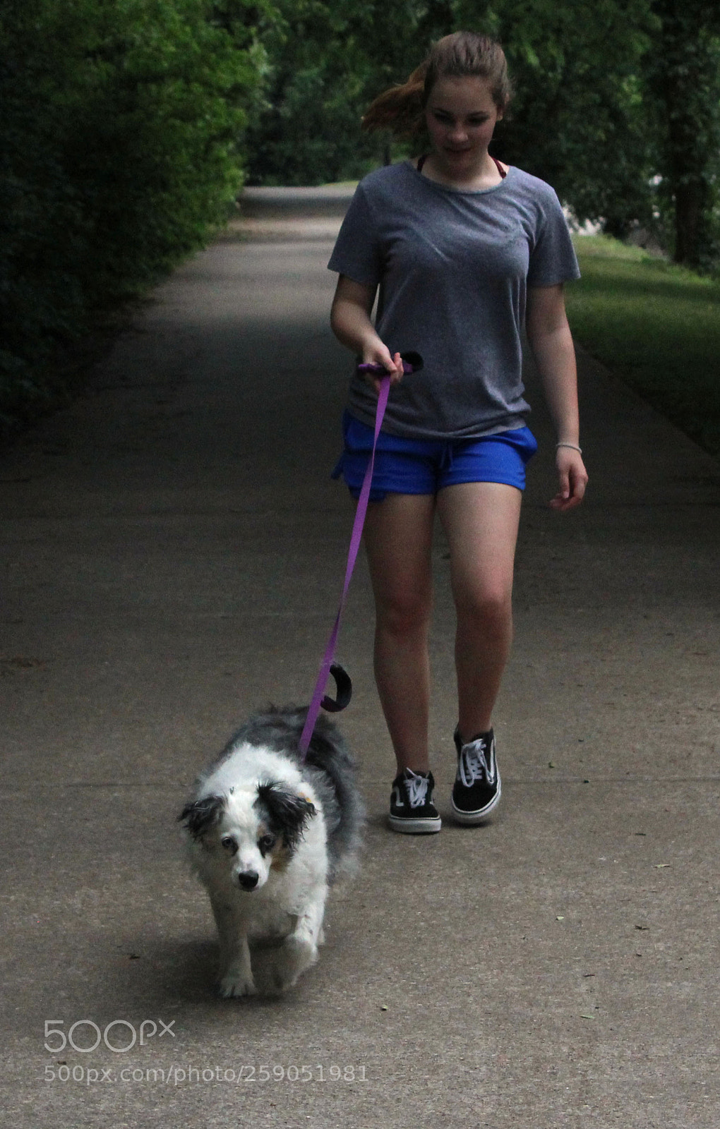 Canon EOS 1200D (EOS Rebel T5 / EOS Kiss X70 / EOS Hi) sample photo. Walk your pet photography