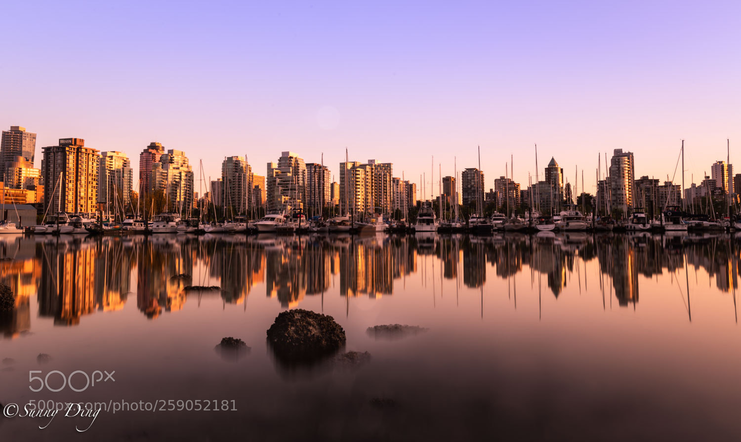Nikon D850 sample photo. Golden sunset photography