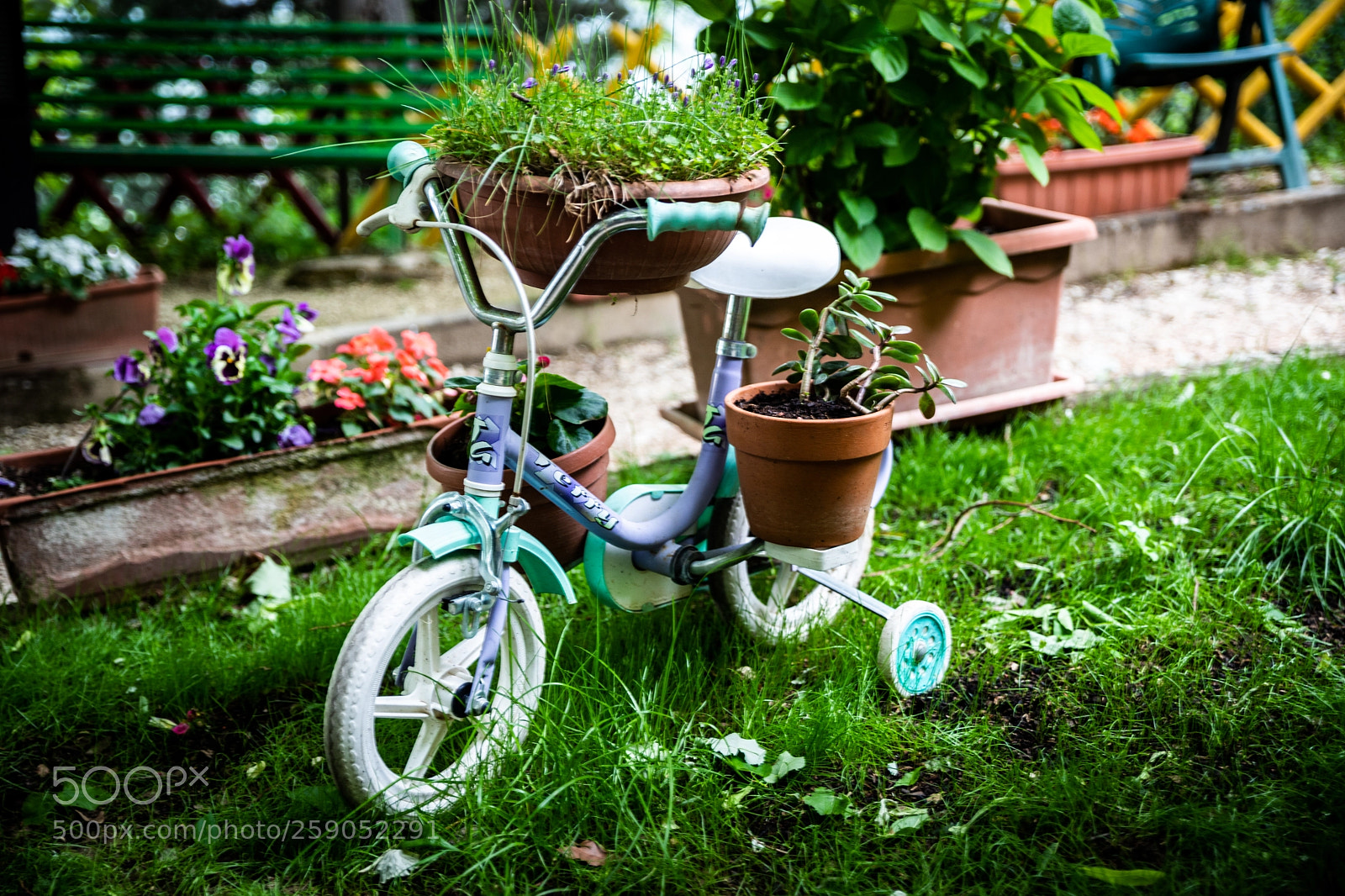 Canon EOS 6D Mark II sample photo. Little bike flower box photography