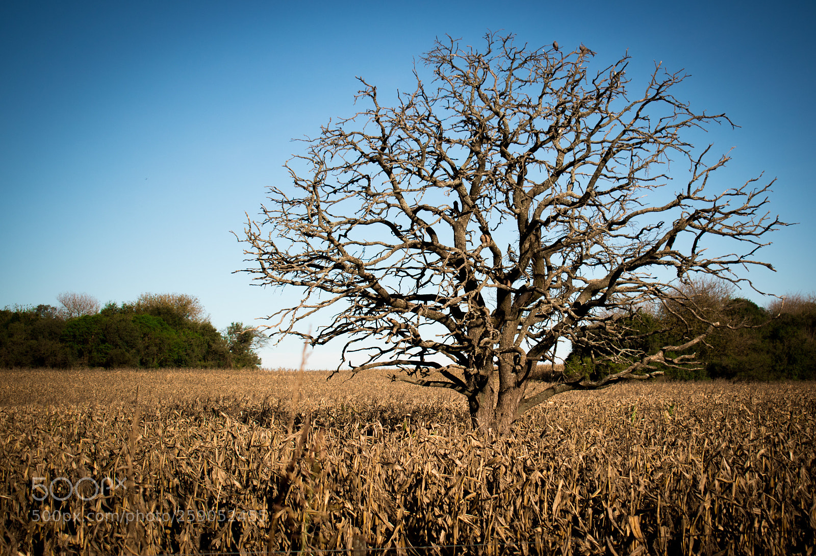Nikon D5500 sample photo. Paisajes de otoño. photography