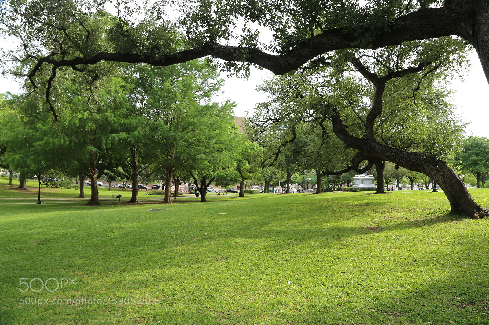Canon EOS 6D + Canon EF 24-105mm F4L IS USM sample photo. Img photography