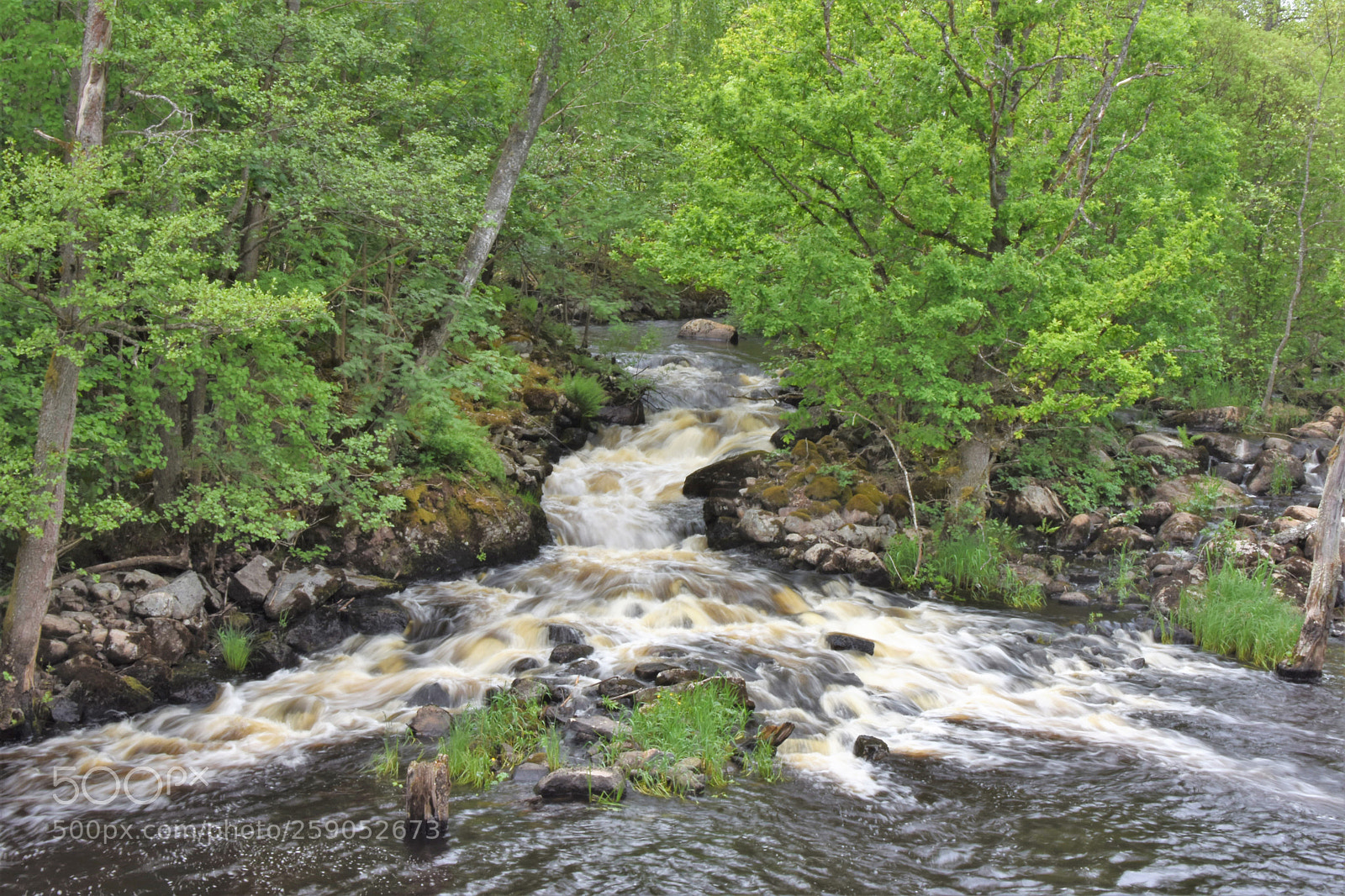 Nikon D7200 sample photo. Mörrum river photography
