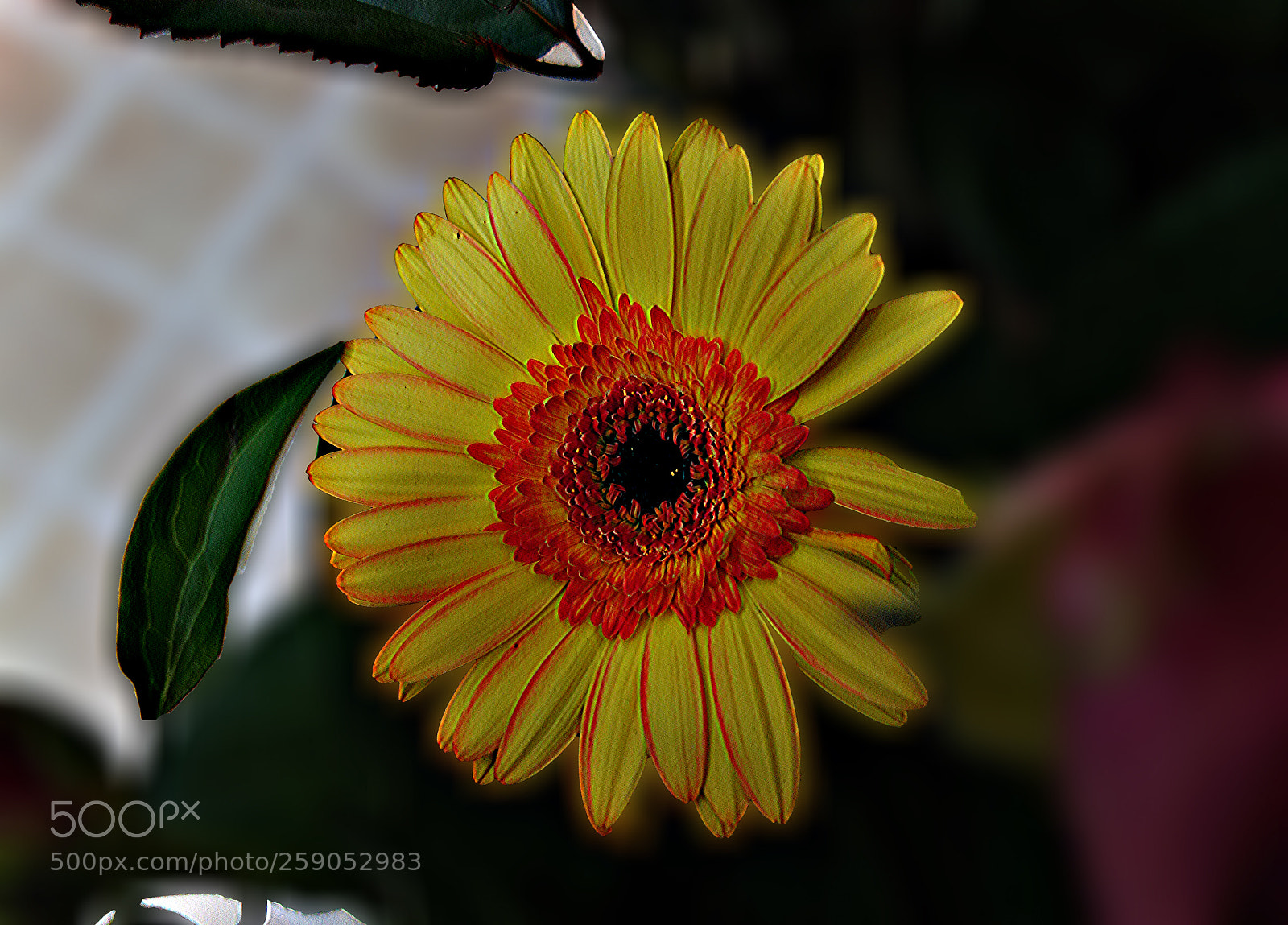 Sony Cyber-shot DSC-RX100 sample photo. Copia photography