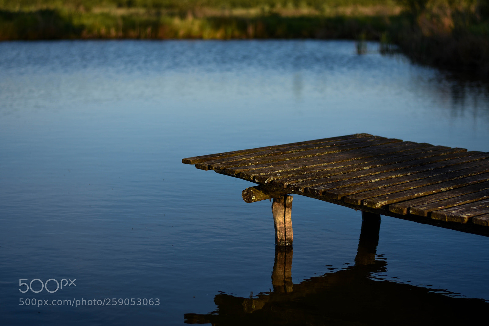 Nikon D7200 sample photo. Silence and calm at photography