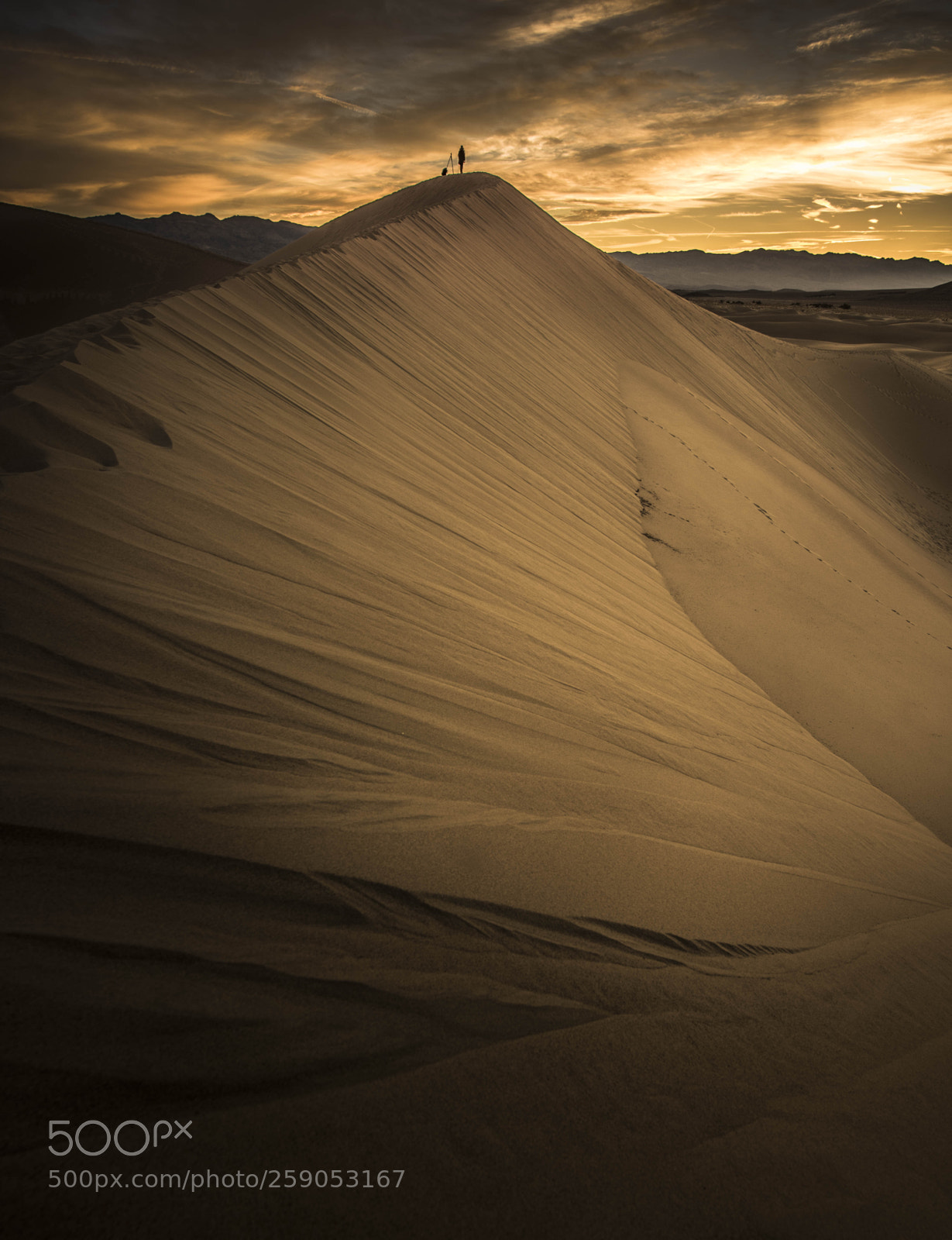 Nikon D750 sample photo. Mesquite sunrise photography