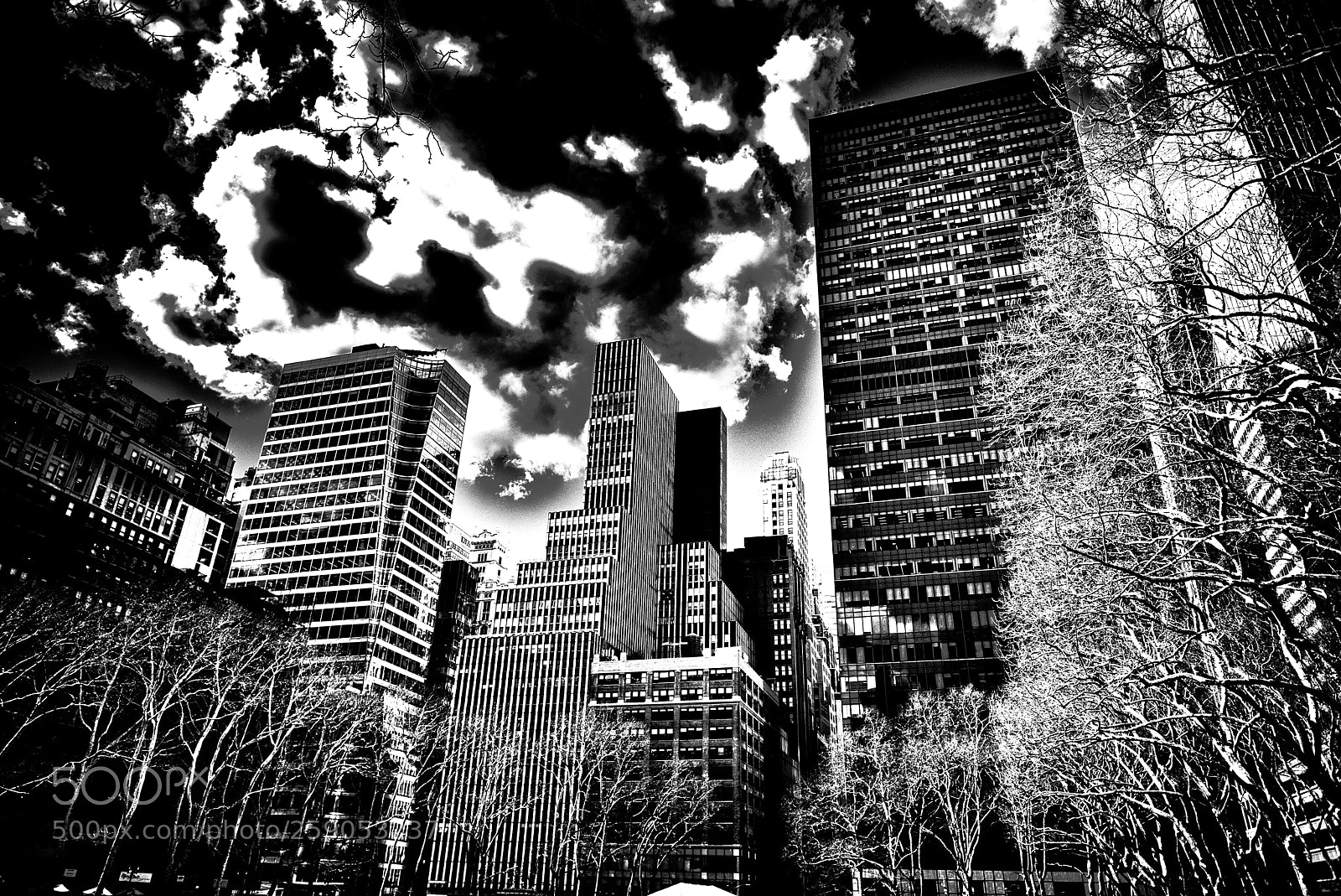 Nikon D810 sample photo. Bryant park photography