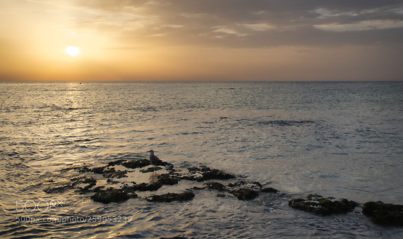Sony a7 sample photo. Looking at the horizon photography