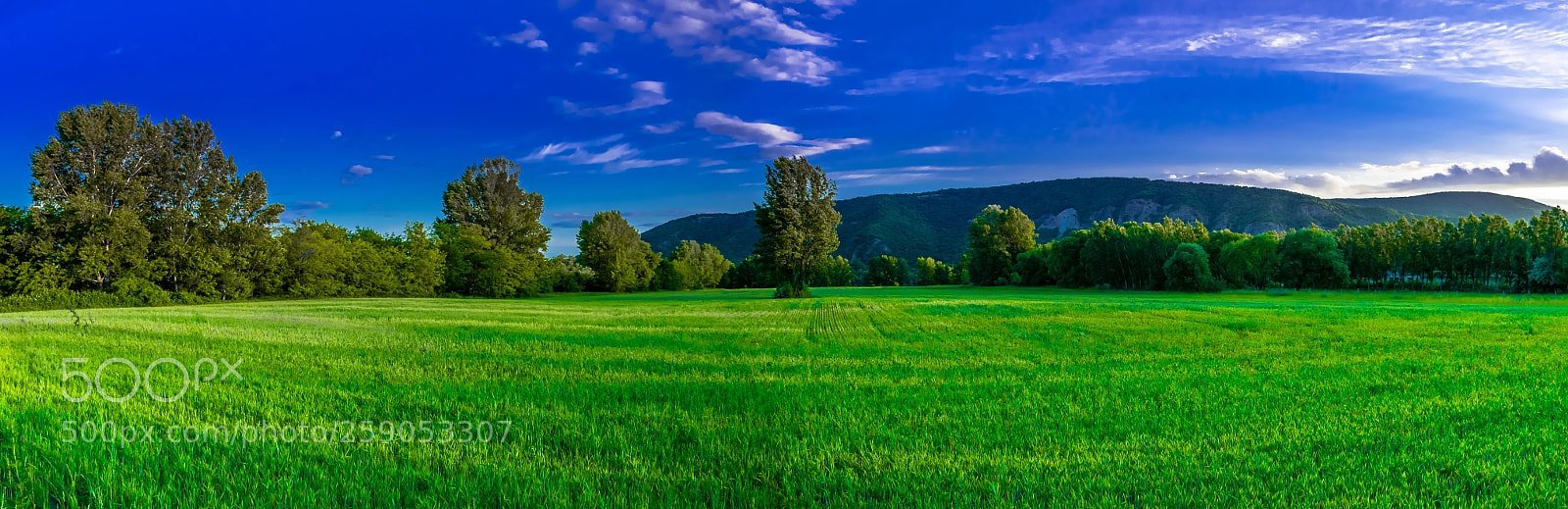 Nikon D5300 sample photo. Untitled photography