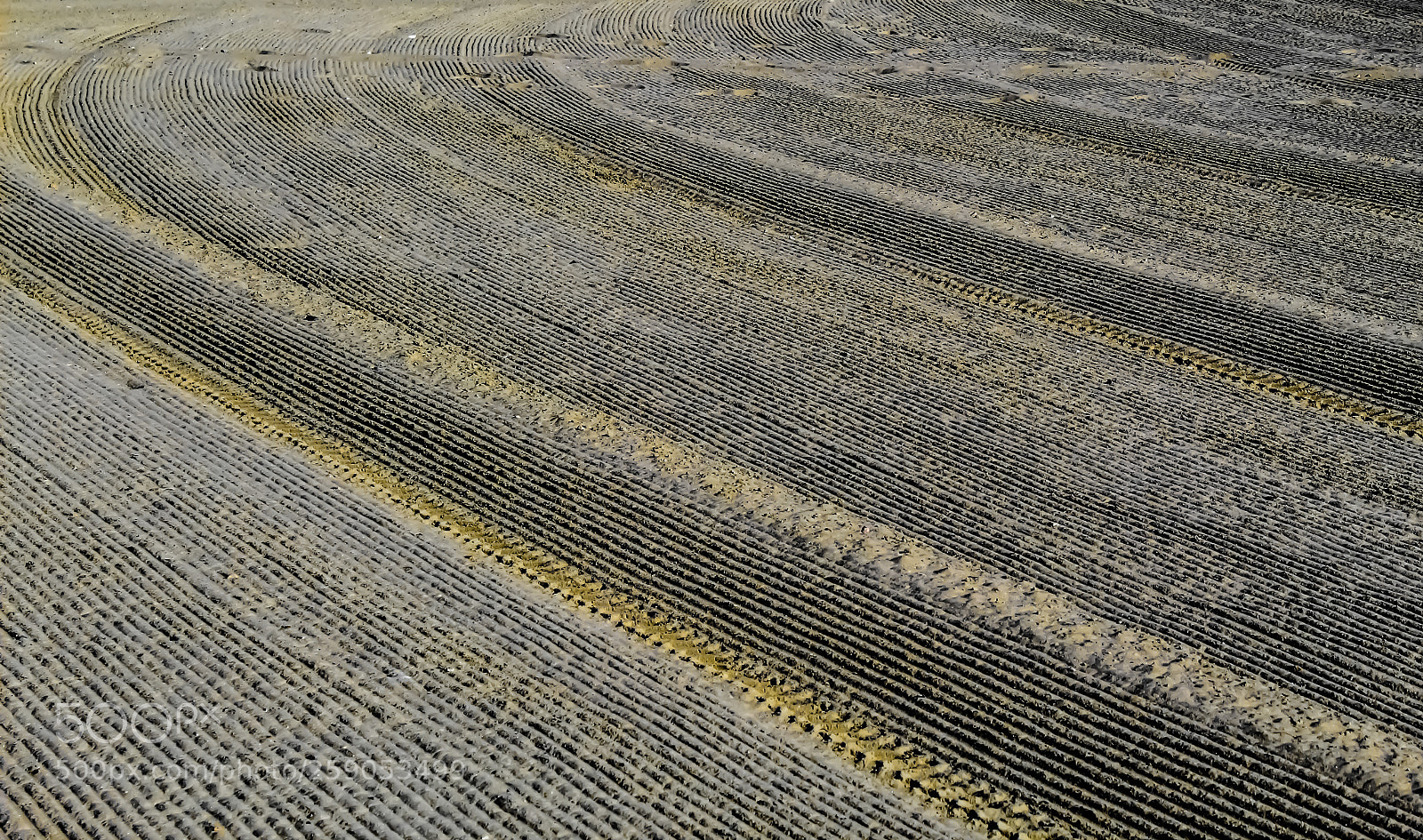 Canon EOS 1300D (EOS Rebel T6 / EOS Kiss X80) sample photo. Tracks on sand photography