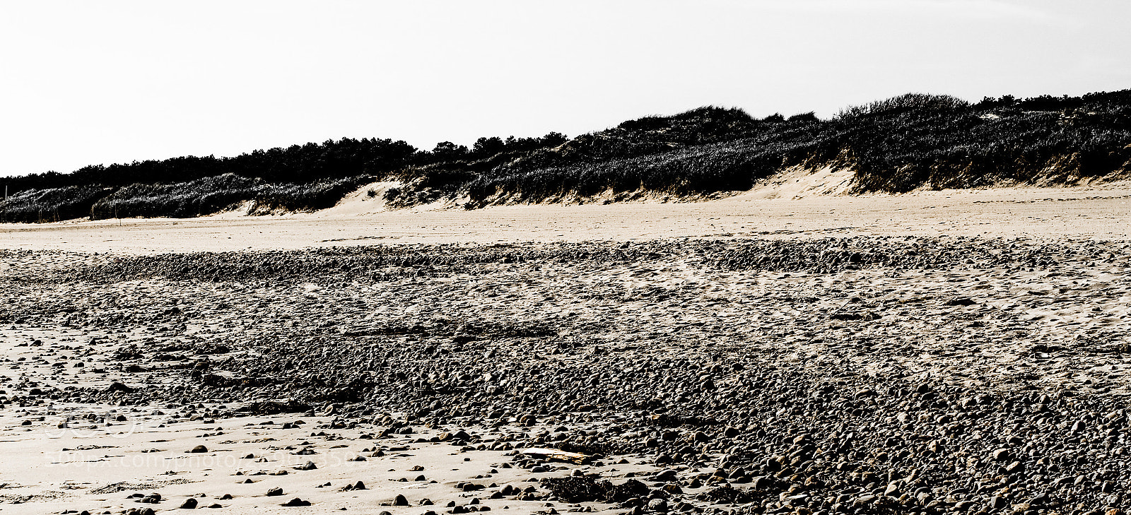 Canon EOS 1300D (EOS Rebel T6 / EOS Kiss X80) sample photo. Sand dunes  and wildlife photography