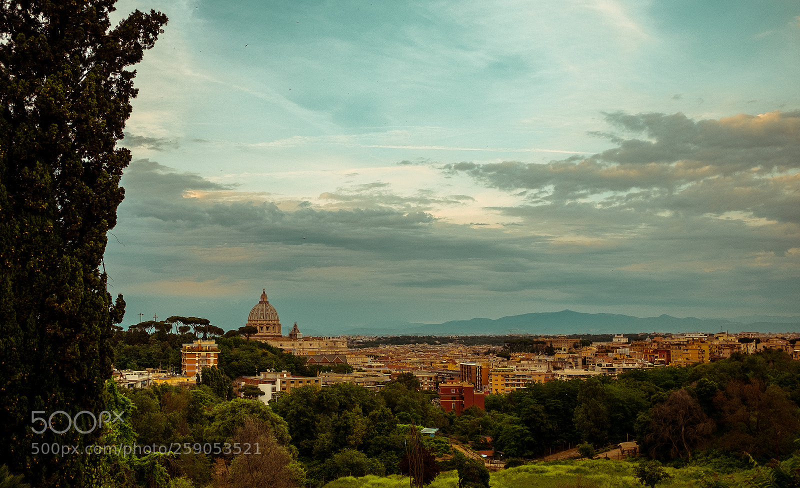 Fujifilm X-T10 sample photo. Piccolomini photography