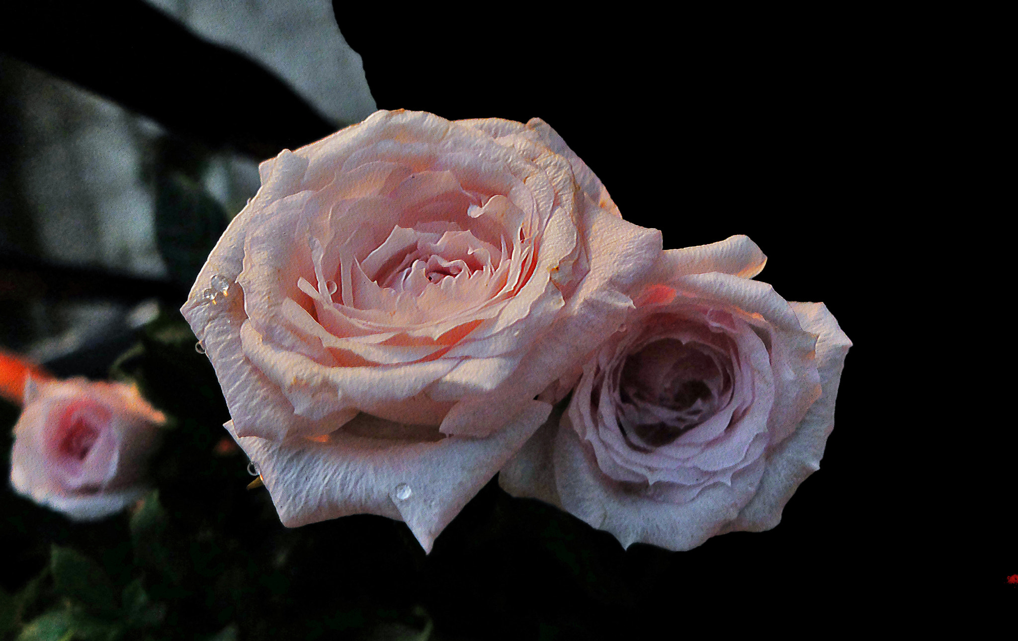 Fujifilm X20 sample photo. Copia photography