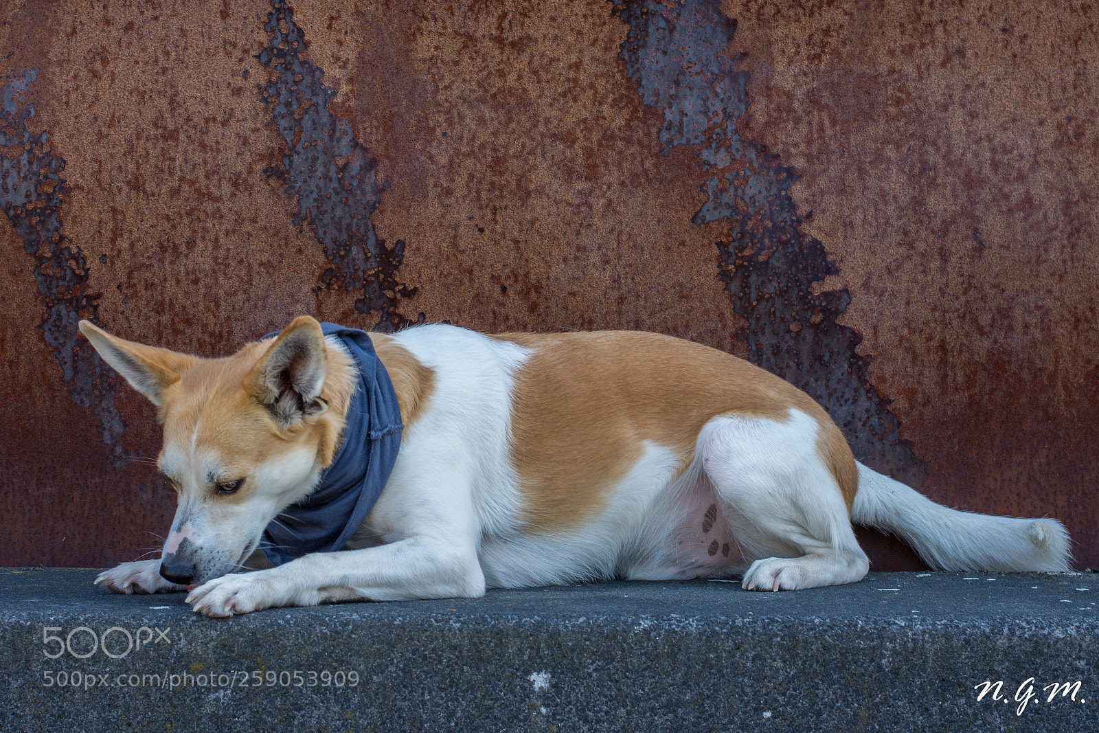 Nikon D7200 sample photo. Rusty chill photography