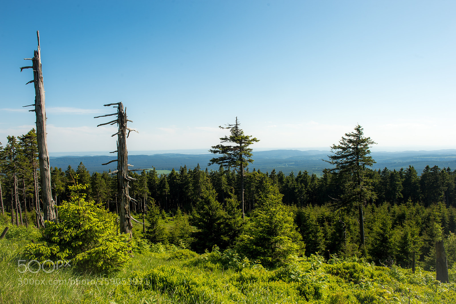 Nikon D4 sample photo. View from the wurmberg photography