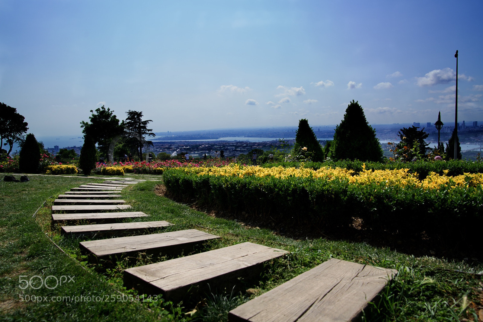 Sony a7R II sample photo. Untitled photography