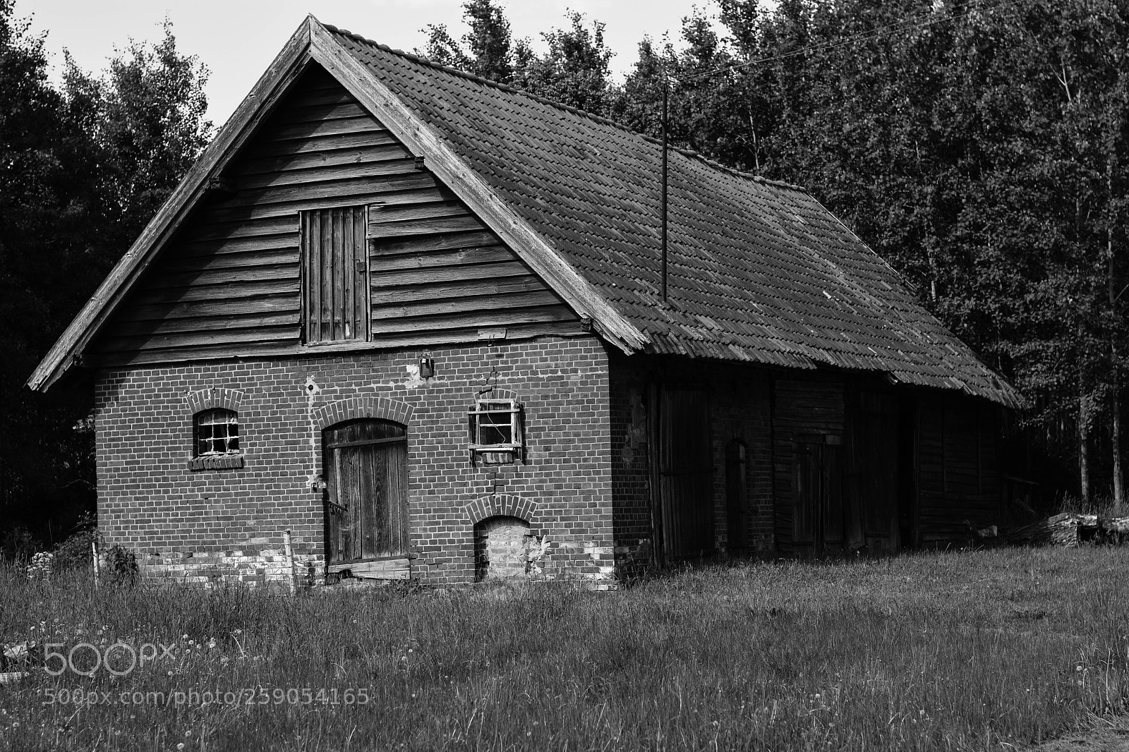 Nikon D7200 sample photo. Abandoned farm photography