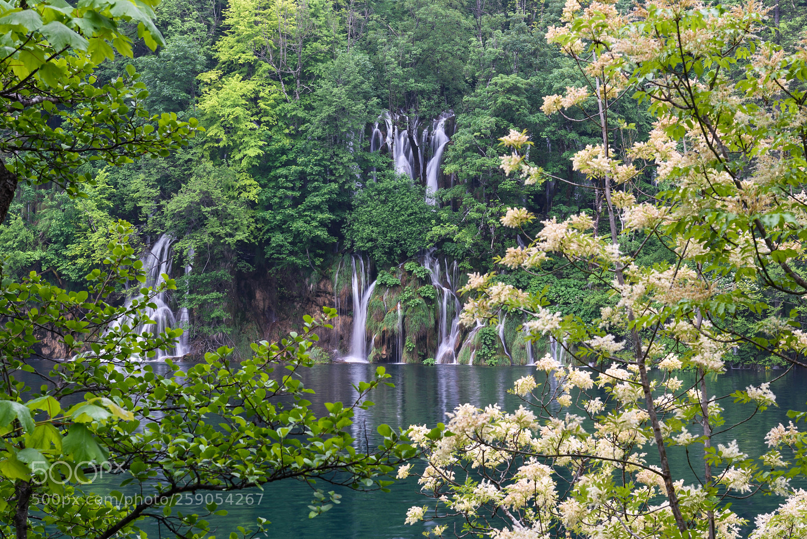 Nikon D750 sample photo. Plitvice 3 photography