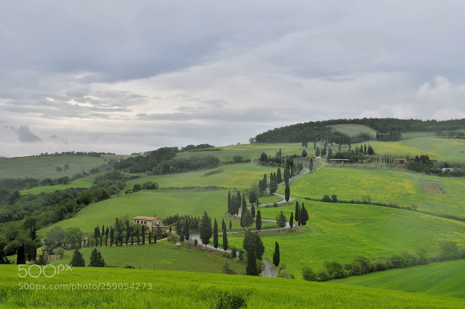 Nikon D500 sample photo. Green tuscany - may 2018  photography