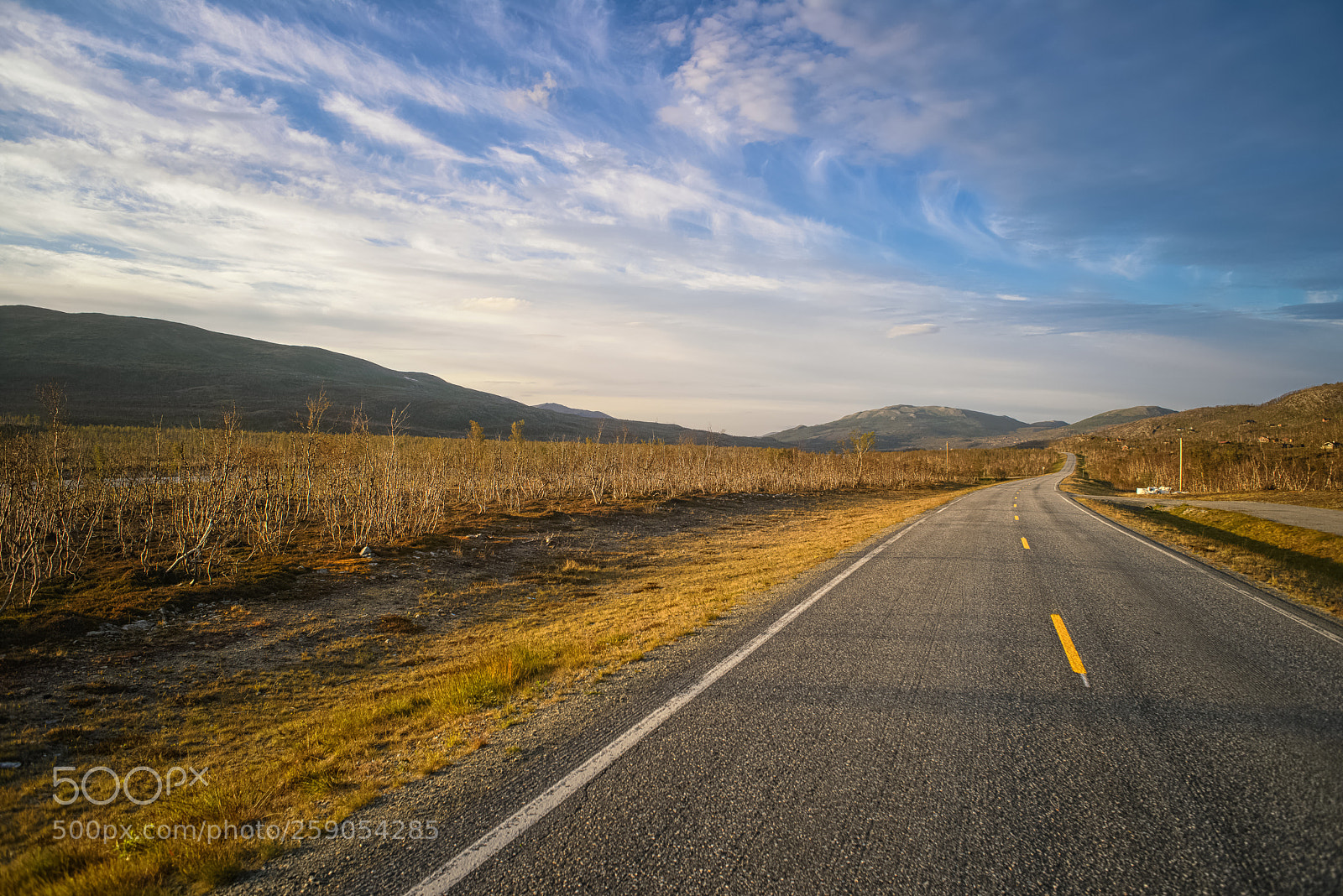 Nikon D610 sample photo. North from here photography