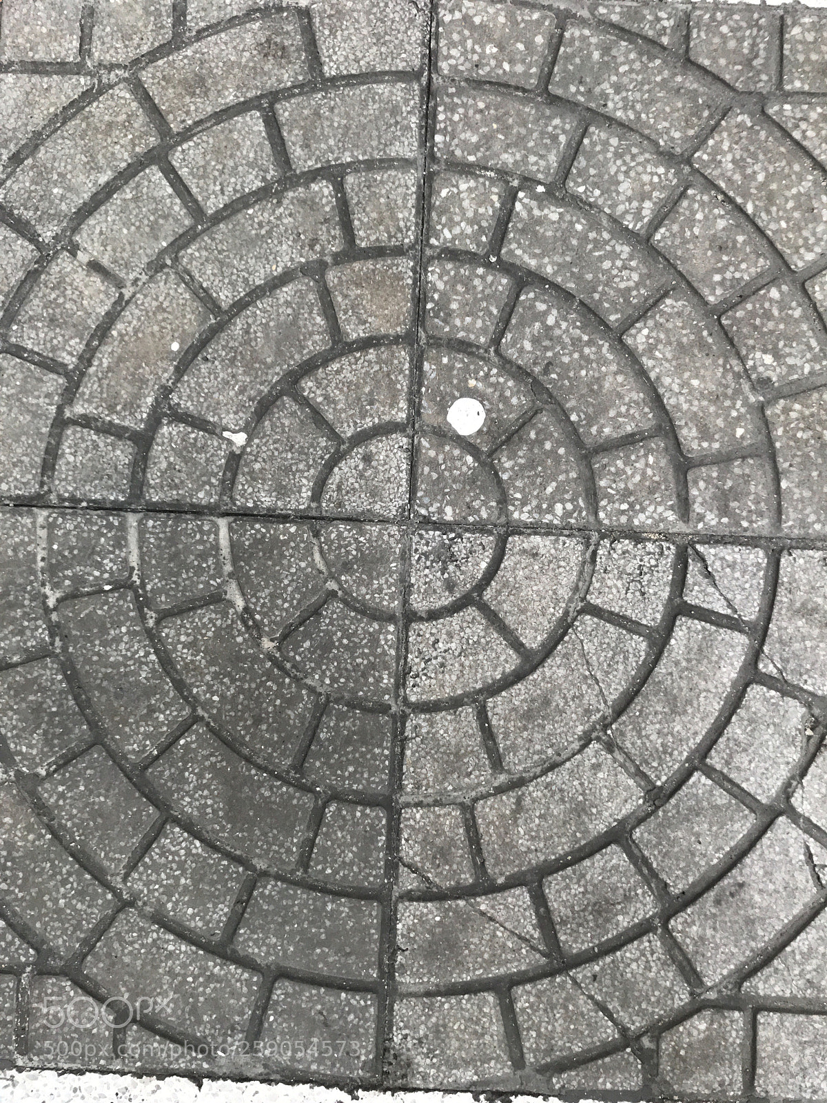 Apple iPhone 7 sample photo. Untitled photography