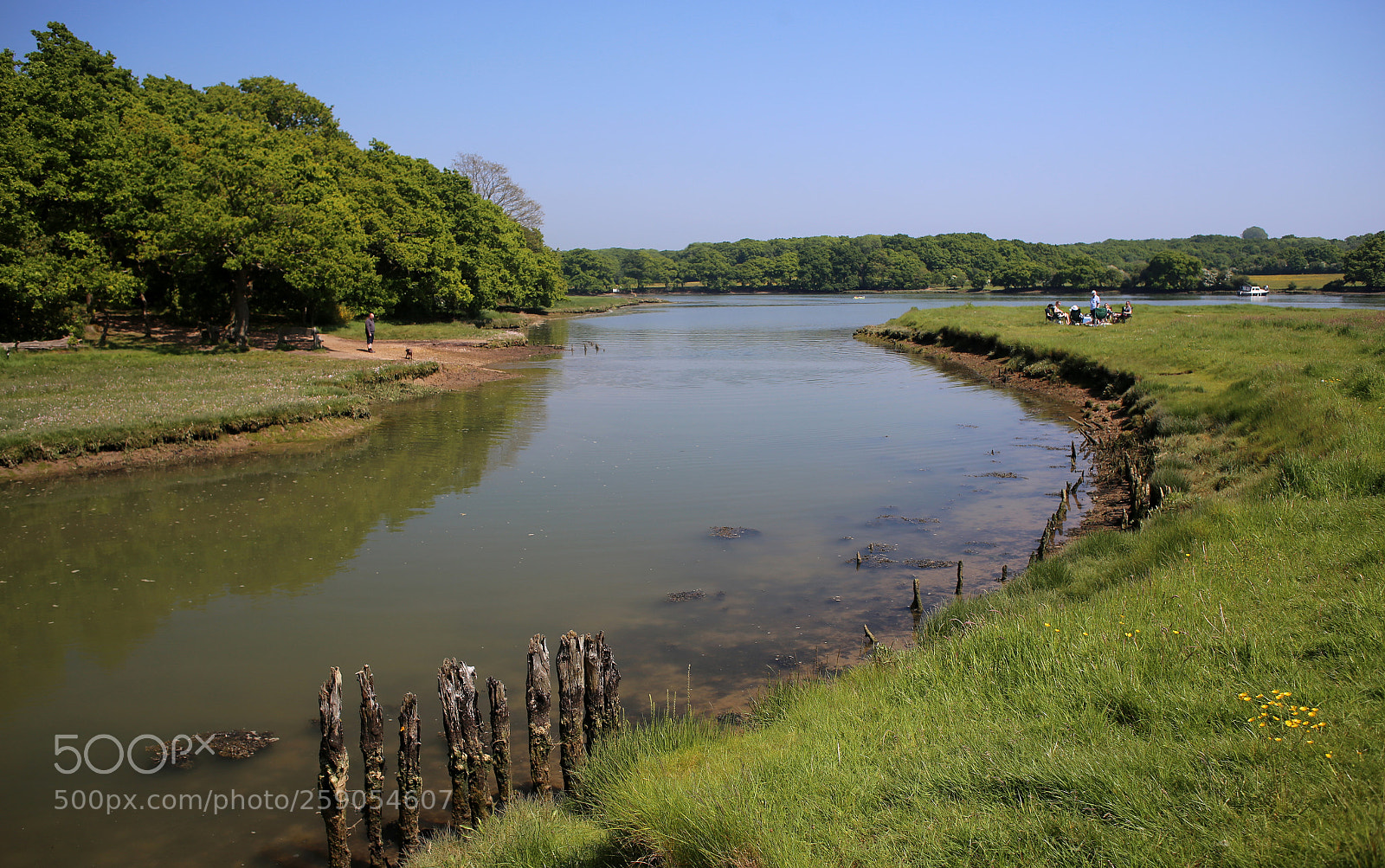 Canon EOS 6D sample photo. Hoe moor creek, hampshire photography
