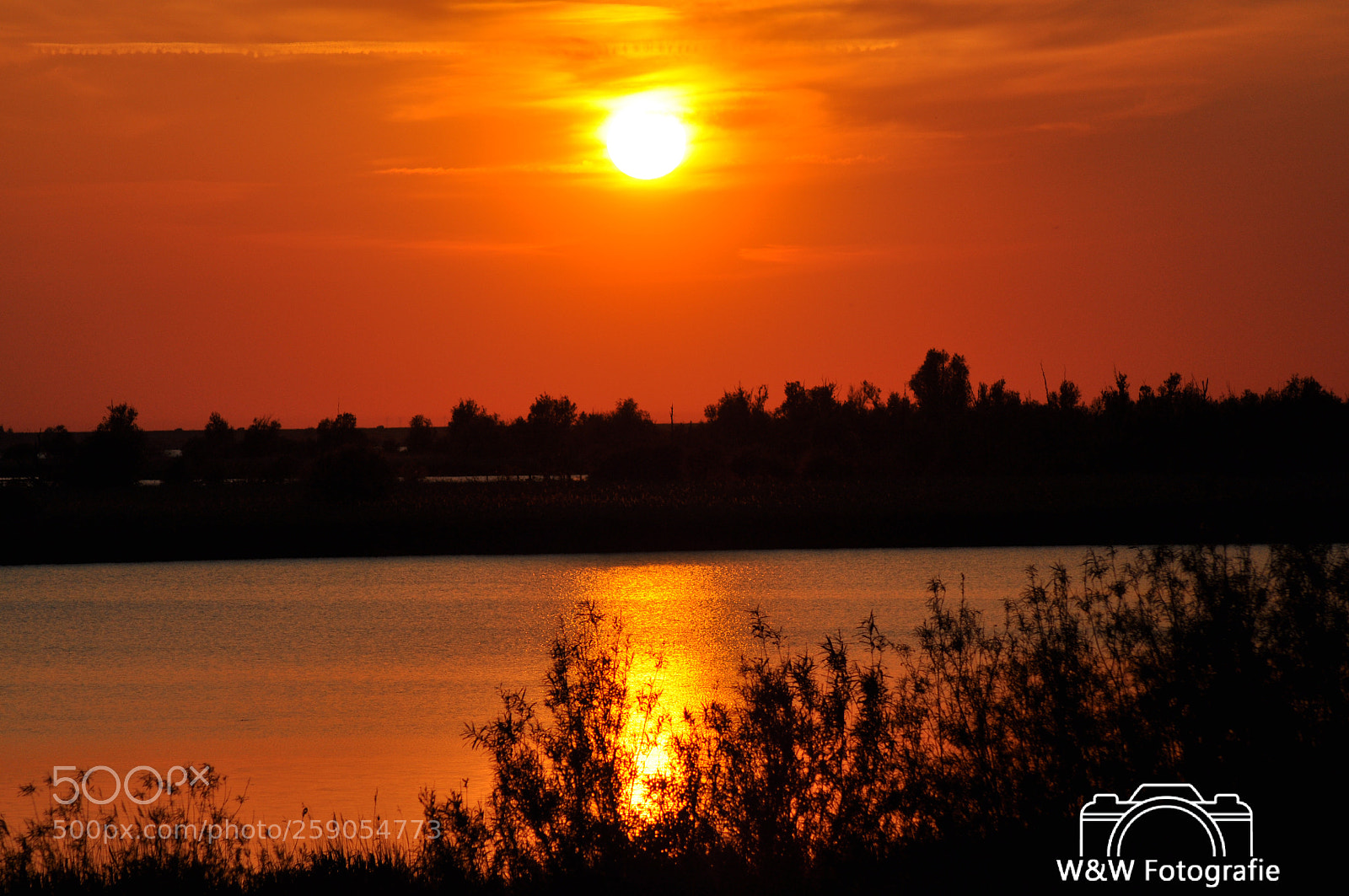 Nikon D90 sample photo. Untitled photography