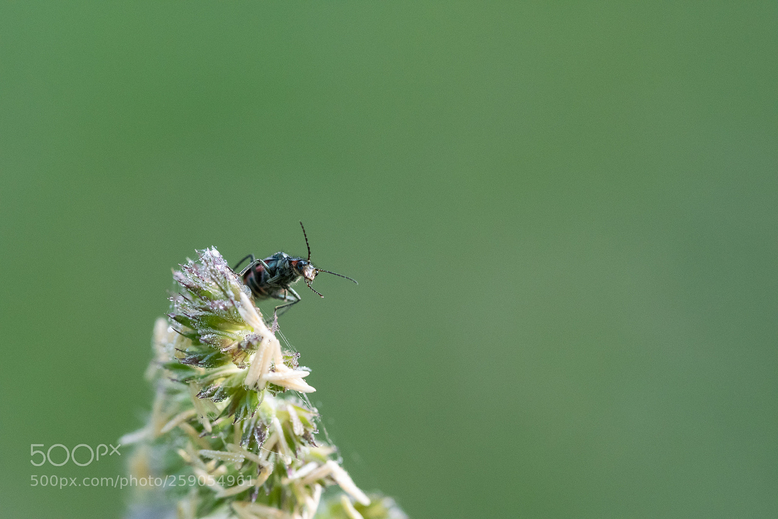 Nikon D810 sample photo. Je suis là ! photography