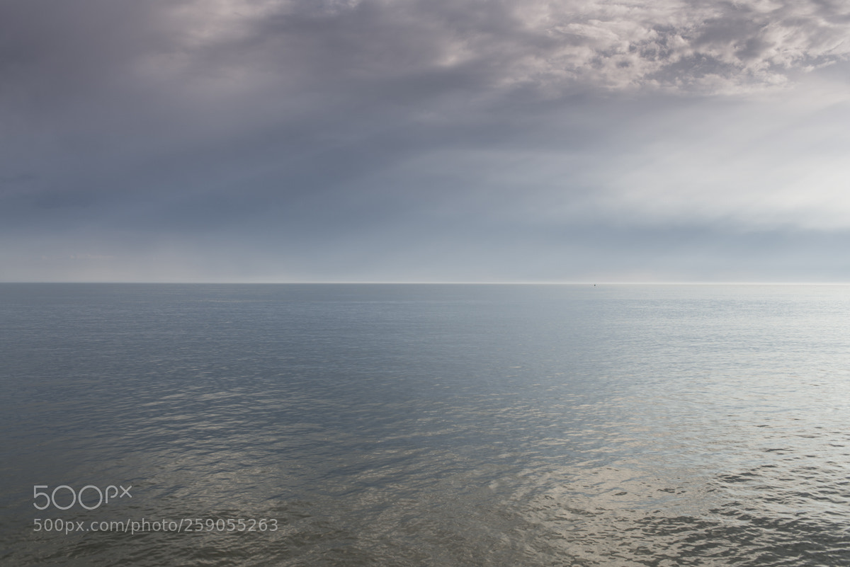 Nikon D800 sample photo. Milford on sea, new photography