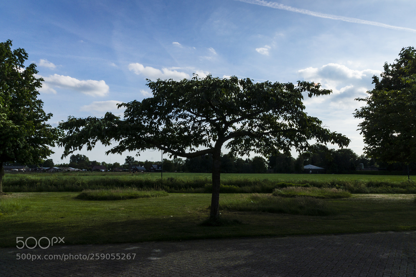 Sony SLT-A77 sample photo. Untitled photography