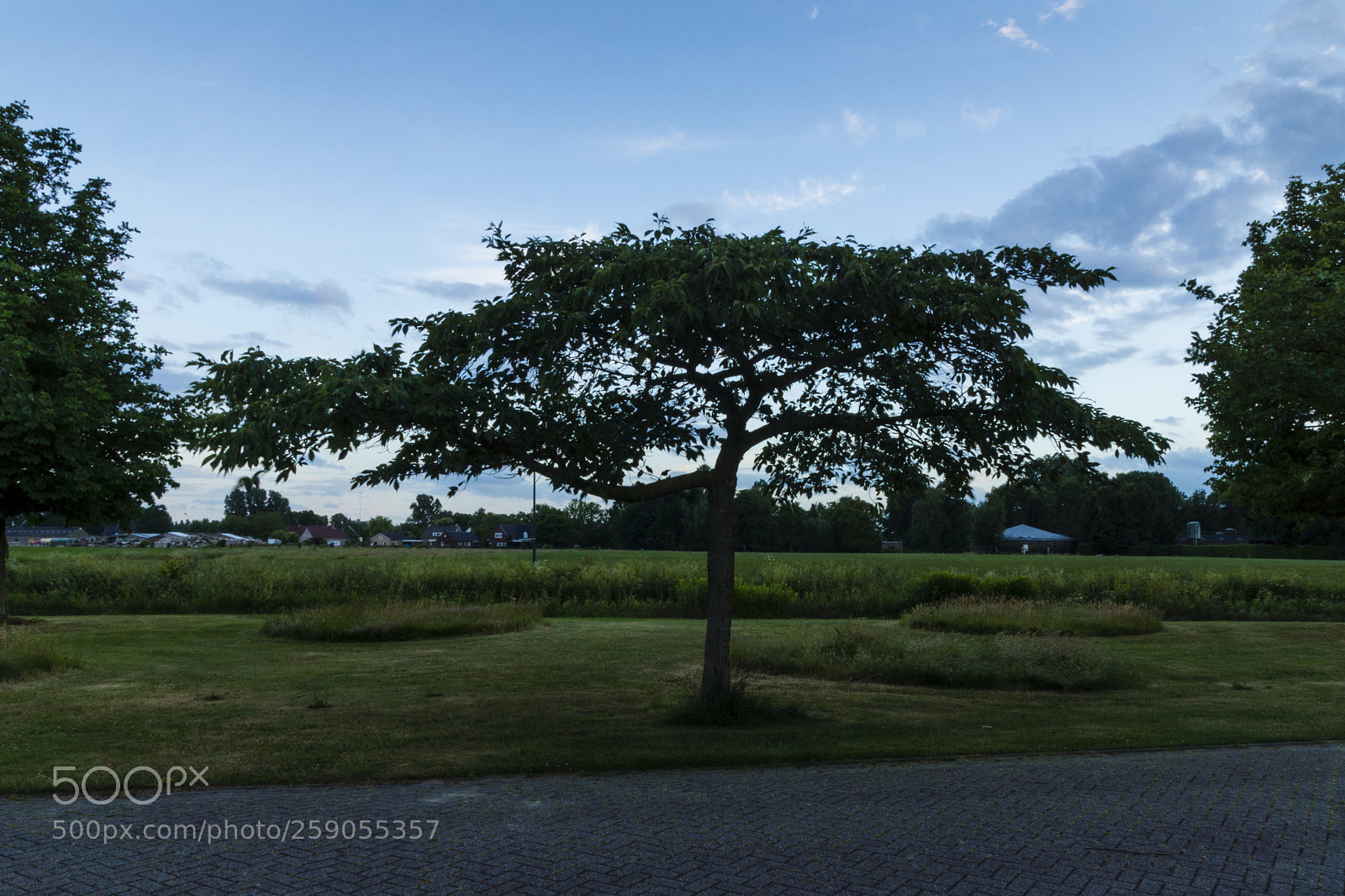Sony SLT-A77 sample photo. Untitled photography
