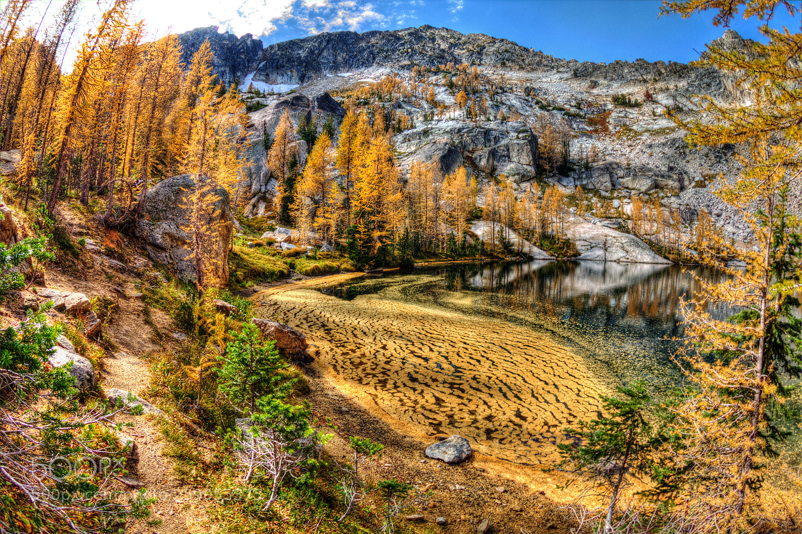 Canon EOS 60D sample photo. Golden larch needles float photography