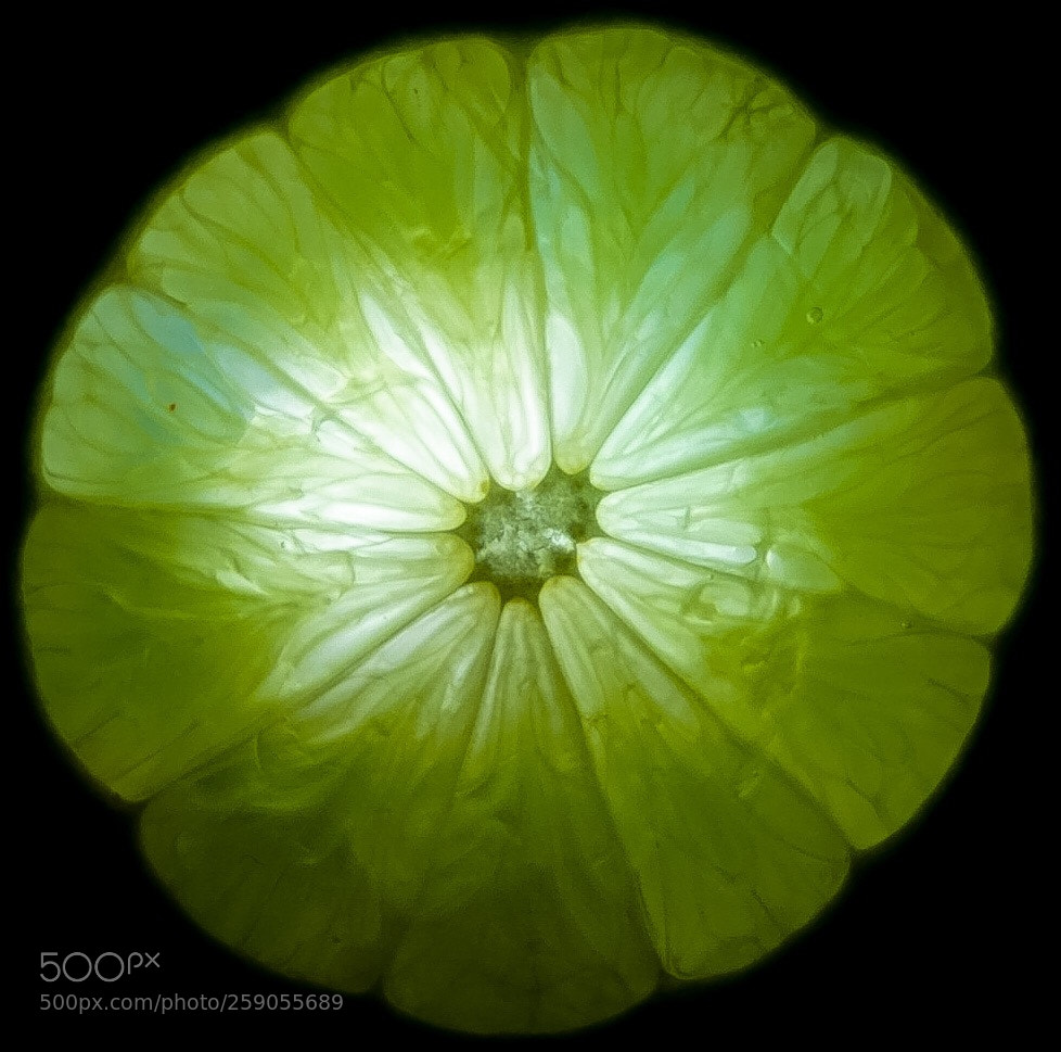 Sony a6000 sample photo. Lime slice photography