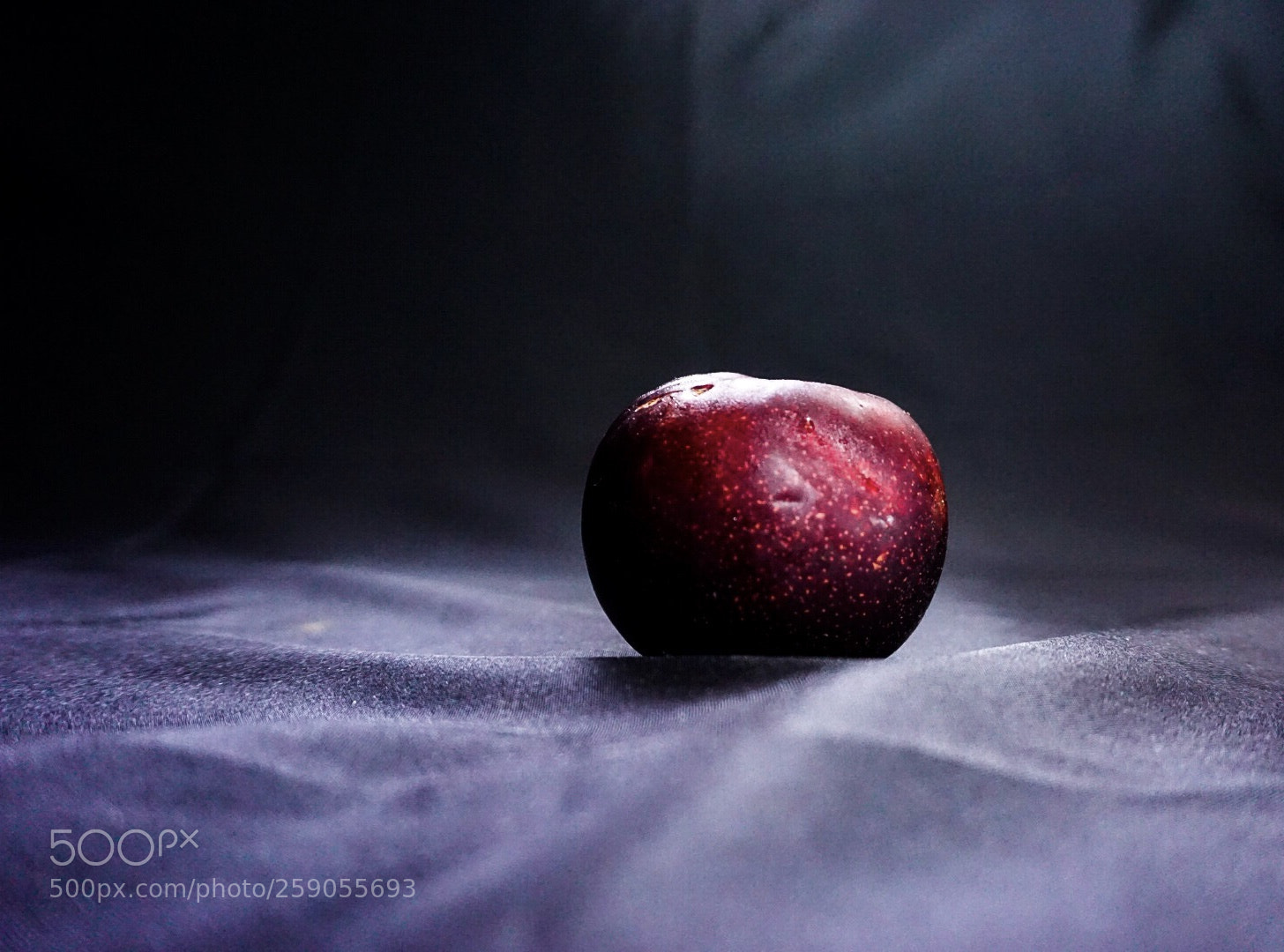 Sony a6000 sample photo. Plum photography