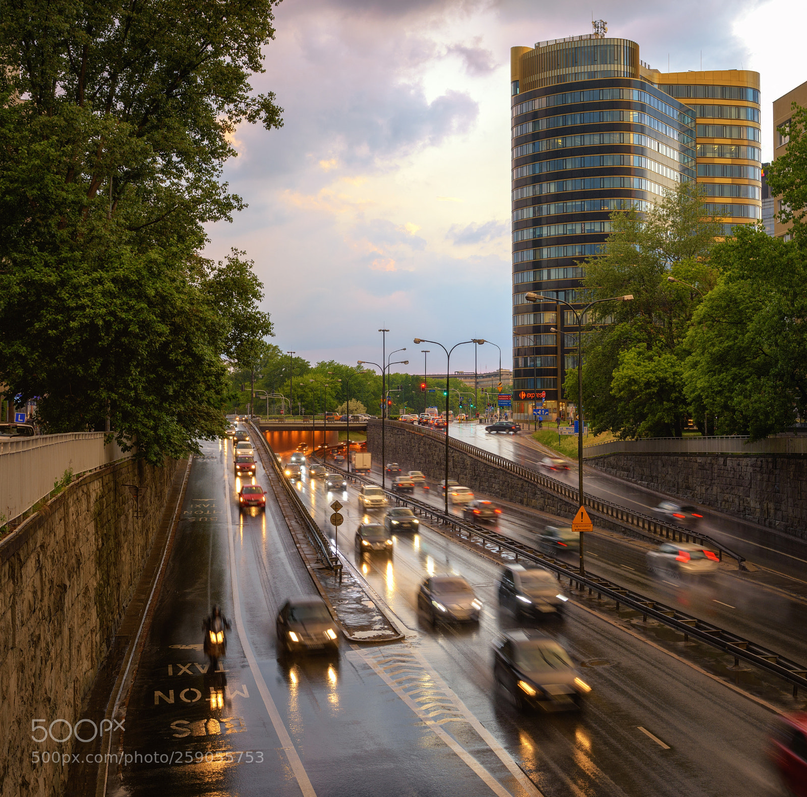 Nikon D7200 sample photo. After the rain photography